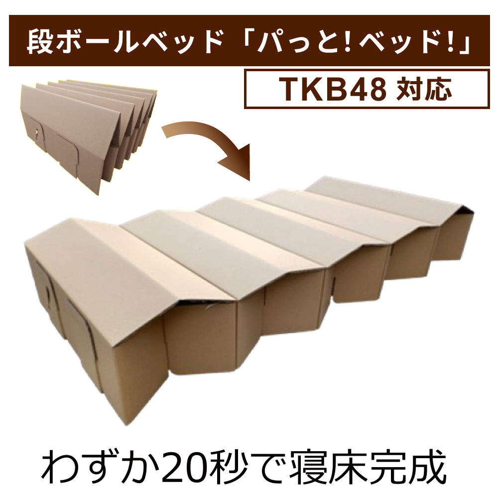 段ボールベッド