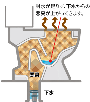 封水が少ないために下水の悪臭、害虫が上がってくる隙間が生れるトイレのイメージ画像